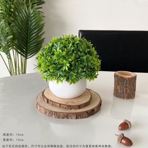 仿真綠植盆栽擺件 尤加利小盆栽 桌面裝飾假植物 北歐簡約 客廳玄關書桌擺飾